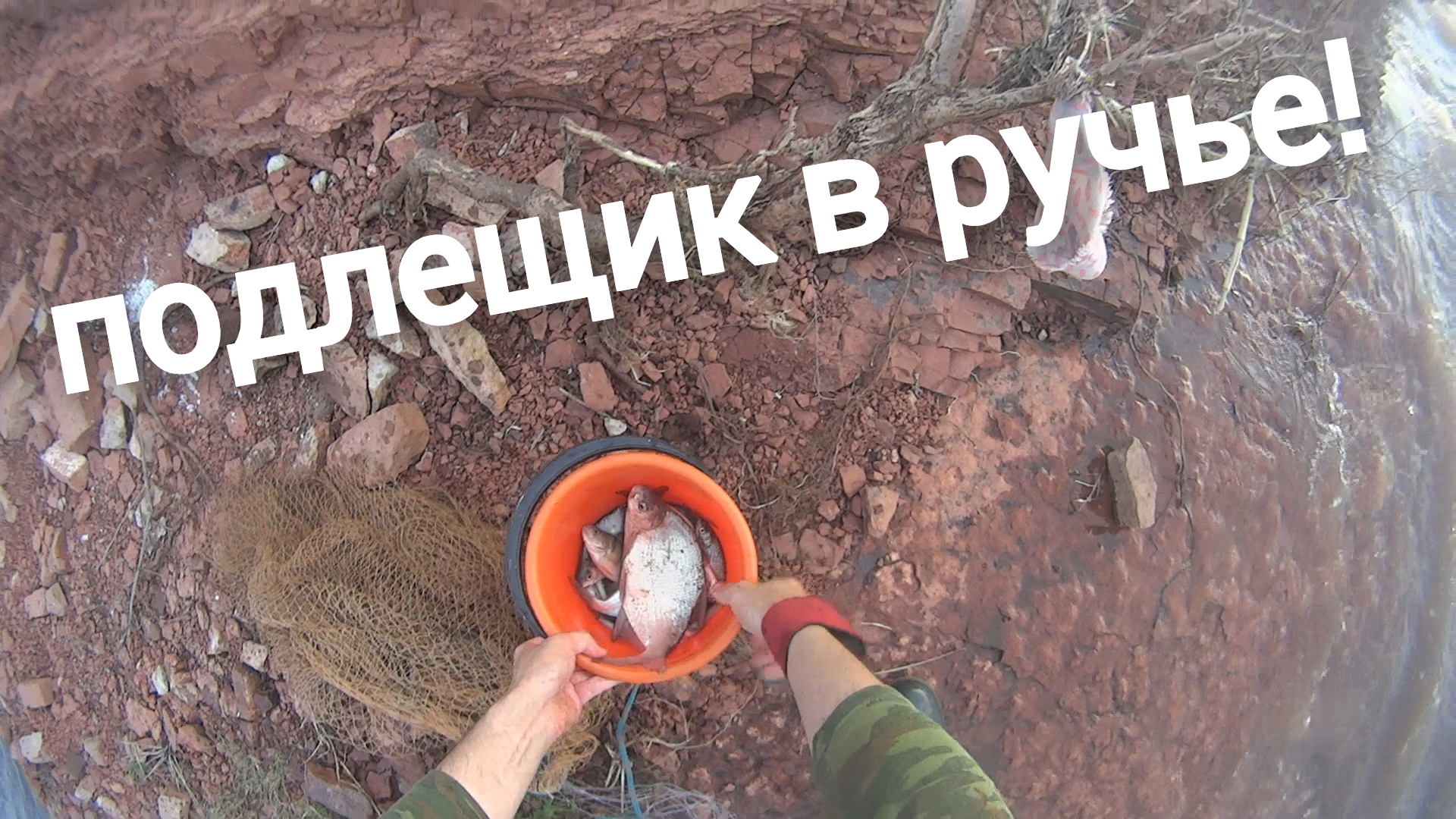 подлещик в микро речке! рыбалка на кастинговую сеть из капрона в ручье! смотреть онлайн