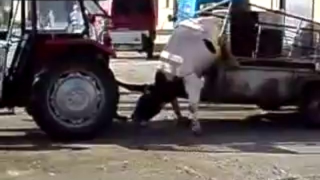 Нервный бычара... смотреть онлайн