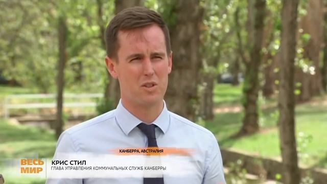 АВСТРАЛИЯ СОХНУТ ДЕРЕВЬЯ смотреть онлайн