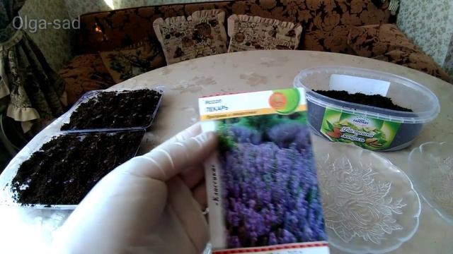 Посадка Агератума и Иссопа смотреть онлайн