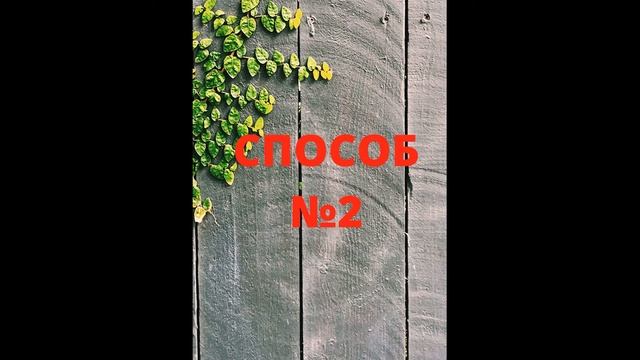 Избавляемся от сорняка березки в огороде смотреть онлайн