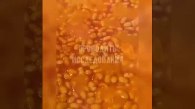 моя версия шакшука смотреть онлайн