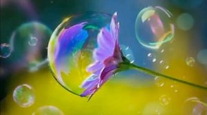 Футаж  Летние радости. Цветы