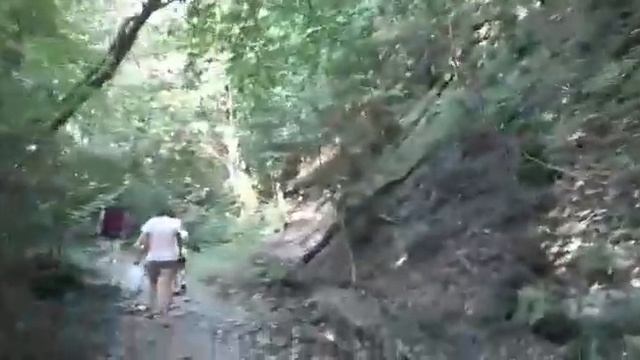 Экскурсия на Пшадские водопады смотреть онлайн