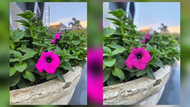 Poco X6 Pro vs Redmi Note 13 Pro Plus Camera Comparison | Poco X6 Pro Camera Test смотреть онлайн