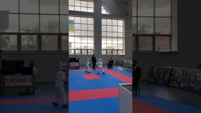 Кубок полтавской области по карате смотреть онлайн