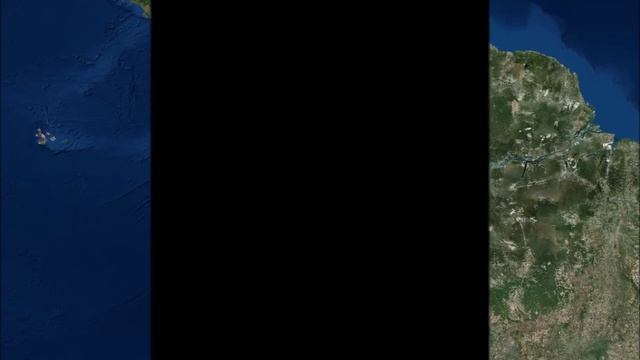 All Bears Species - Species List