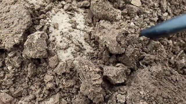 весенний поиск монет с эквиноксом 600 смотреть онлайн
