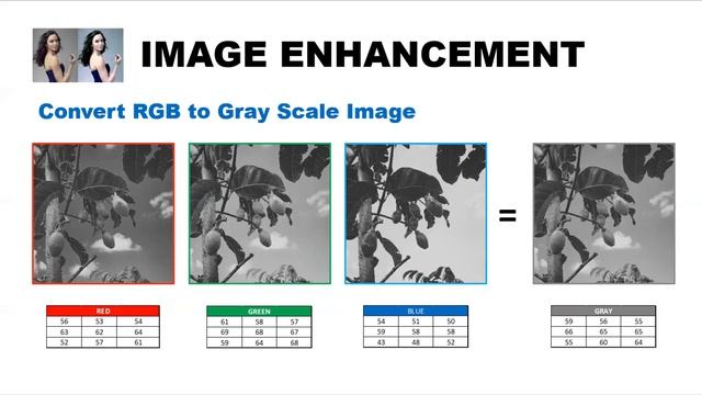 Image Enhancement: Convert RGB image to Grayscale смотреть онлайн