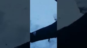 Как сильно промерзает земля в Московском регионе?