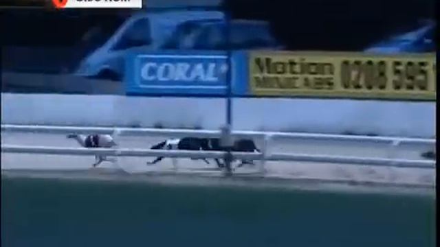 Britania Rachel - Champion Stakes смотреть онлайн