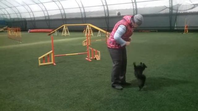 Рождественские Вика и Лика разминка смотреть онлайн