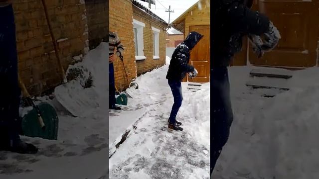 Морской котик прикол смотреть онлайн