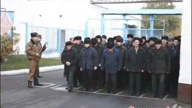 Сергей Наговицын Там на ёлках шишки, там медведи смотреть онлайн