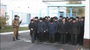 Сергей Наговицын   Там на ёлках шишки, там медведи