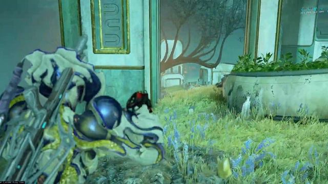 Warframe gameplay. Citrine is doing some Steel Path Circuit. Part 1. смотреть онлайн