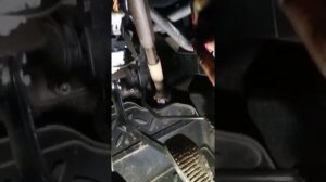 Течет антифриз по трубке радиатора FIAT Albeo