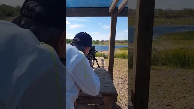 DPMS LR308AP4 Pulsar Apex XD50A YHM Suppressor смотреть онлайн
