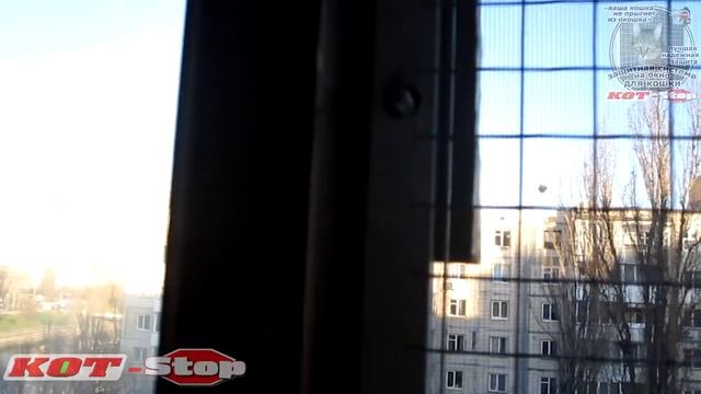 ? Защитная сетка решетка антикошка (нестандартный проект и крепеж) на деревянный балкон КОТ Stop смотреть онлайн