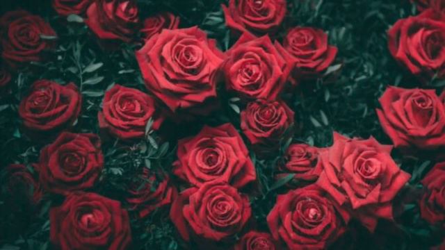 Айна Ибрагимова-Новинка 2021 смотреть онлайн