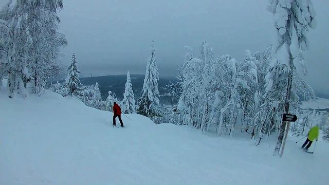 Губаха 16 01 19 смотреть онлайн