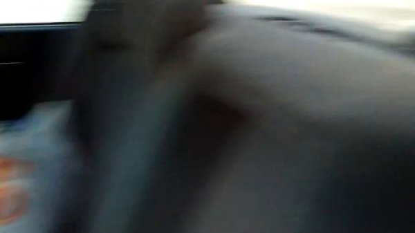 Тойота Кроун,Toyota crown 151