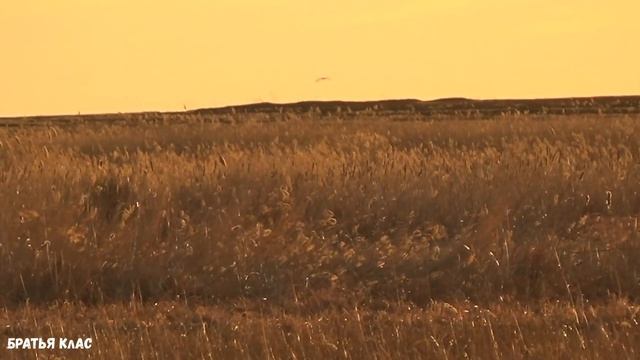 Чуть не утопили буран в болоте на открытии весенней охоте 2019! смотреть онлайн