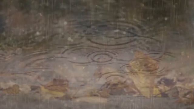 ПОЁТ: Виктор Смирнов - Прощание с осенью смотреть онлайн