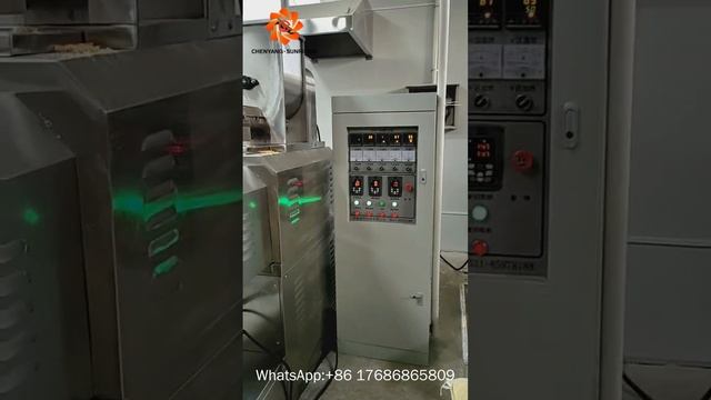 150kg/h Macaroni Spaghetti Pasta Extruder Making Machine Line | Chenyang смотреть онлайн