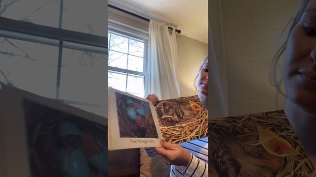 Book- From Egg to Robin смотреть онлайн