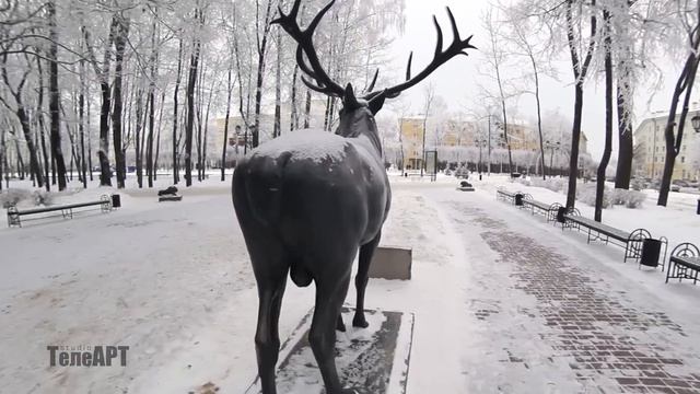 Смоленск январь 2013 смотреть онлайн