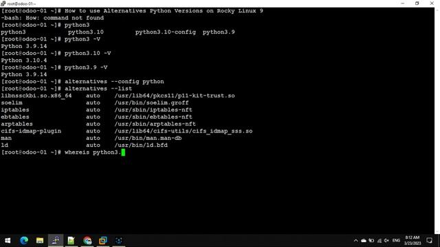 How to use Alternatives command to set Python versions in Linux смотреть онлайн
