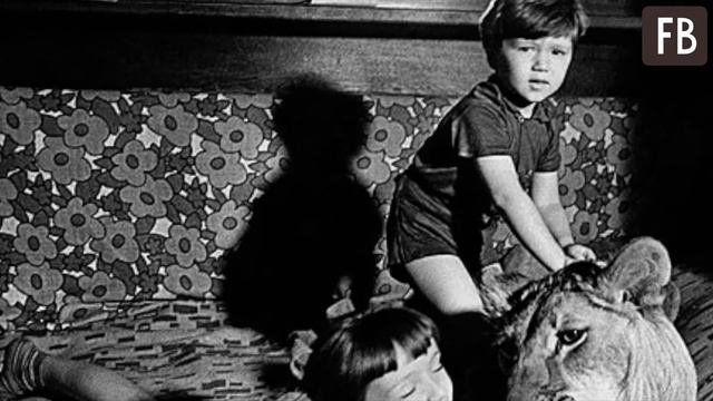 Сокровища разума