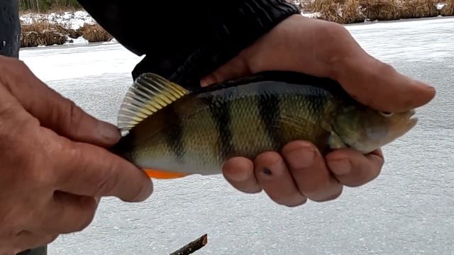 ПЕРВЫЙ ЛЁД 2023! смотреть онлайн