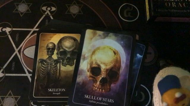 " พี่หมีรีวิวไพ่ " Oracle 10 : The Halloween Oracle смотреть онлайн