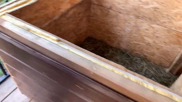 Будка и вольер с размерами, для собаки. Восточноевропейская овчарка Эльза и ее обновлённый дом. ВЕО смотреть онлайн