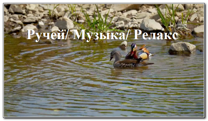 Звуки воды, птиц и расслабляющее хоровое пение