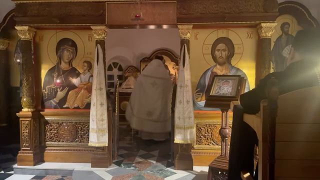 Литургия 11.12.2022. Преподобномученика исп. Стефана Нового. Сщмч. митрополита Серафима (Чичагова) смотреть онлайн