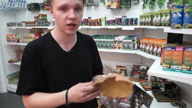 Обустройство террариума для эублефара.