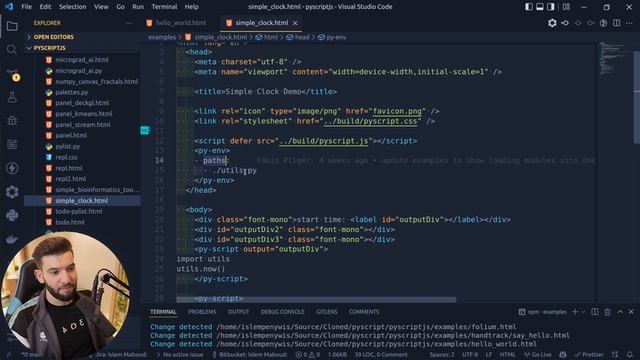 Run Python in HTML/Browser - Pyscript is Ridiculous смотреть онлайн