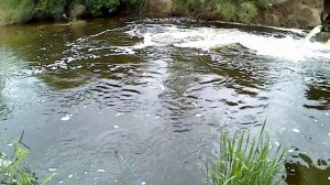 Рыбалка кастинговой сетью