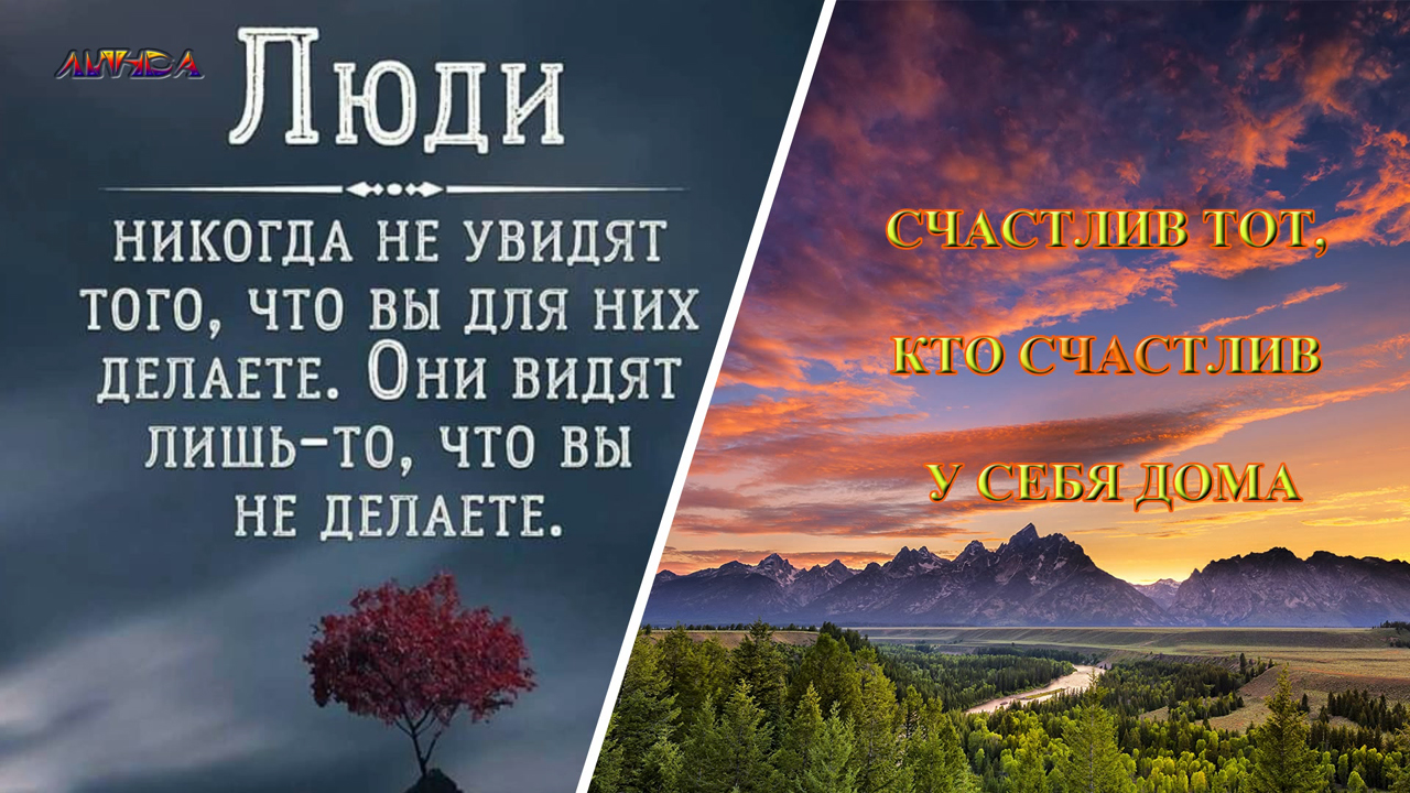 Мудрые высказывания об основных жизненных мотивах смотреть онлайн