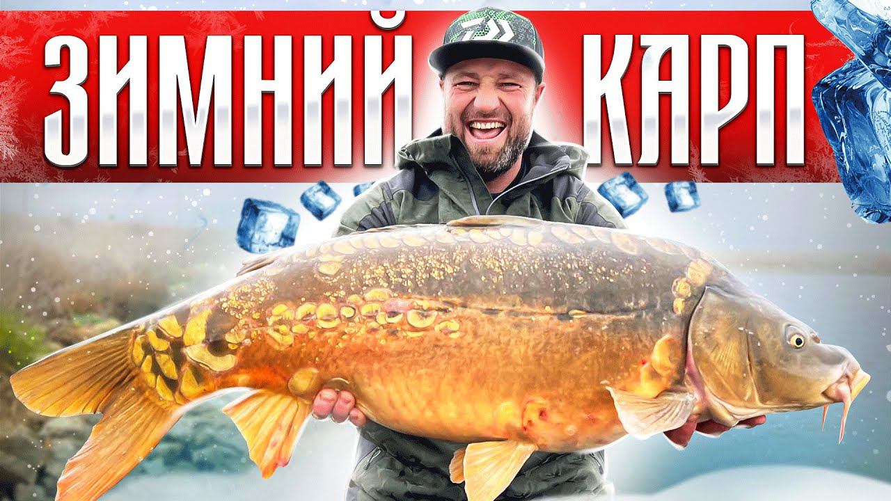 ЗИМНИЙ КАРПФИШИНГ! смотреть онлайн