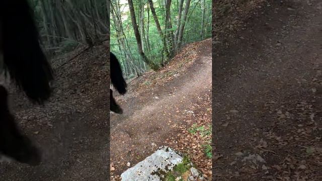 Озеро в форме сердца, это что то невероятное! смотреть онлайн