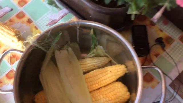 ВАРИМ КУКУРУЗУ. БАБУШКИН РЕЦЕПТ смотреть онлайн