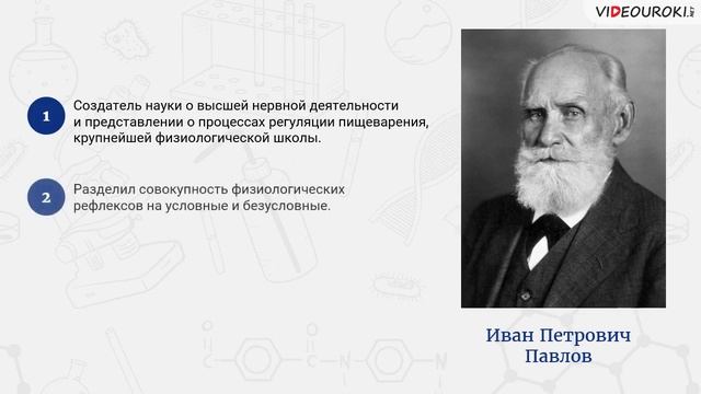 День российской науки 