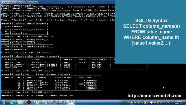 Structured Query Language Tutorial SQL Part 18 IN Operator Command Prompt Console смотреть онлайн