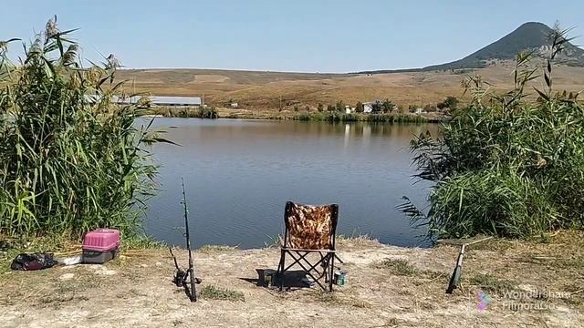 Рыбалка, Ставропольский край, пруд Зеркало. Ловля карпа в последнии дни августа 2022... смотреть онлайн