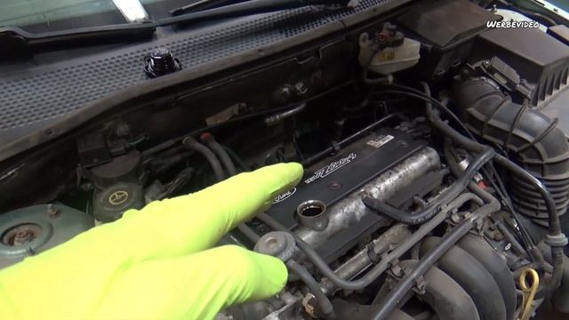 Service beim Ford Focus MK1 1.4, 1.6, 1.8 & 2.0 | Tutorial / Anleitung | the F - Team смотреть онлайн