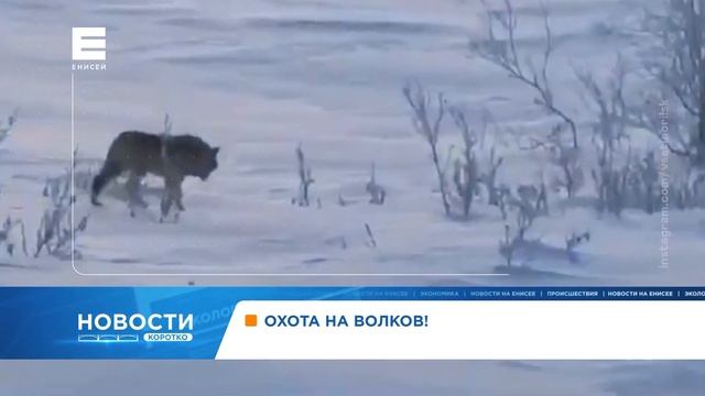 Гаражи на улице Северо-Енисейской в Красноярске затопило холодной водой смотреть онлайн